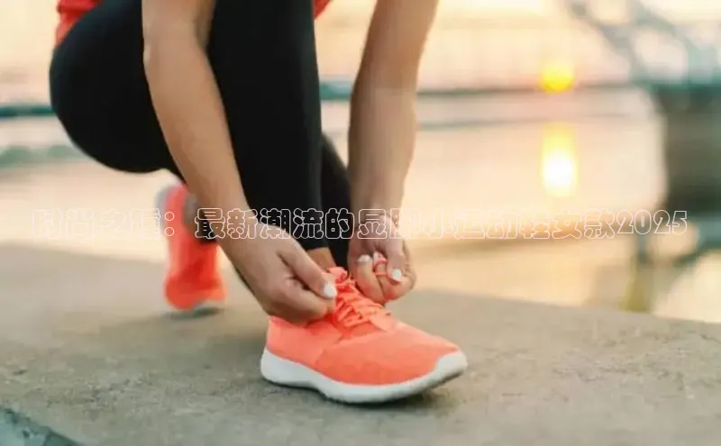 B—sports红标版本